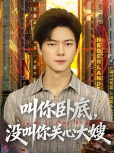 短剧《叫你卧底，没叫你关心大嫂》80集短剧高清无删减在线免费看