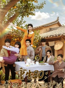短剧《重生80：分配的老公超护短》66集短剧全集免费在线观看