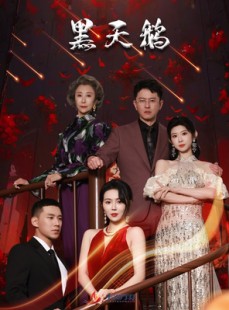 短剧《黑天鹅》51集短剧全集抢先在线观看