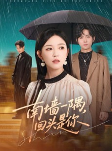 短剧《南墙一隅，回头是你》61集短剧全集解锁免费观看