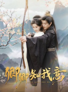 短剧《卿卿知我意》82集短剧全集高清极速更新看