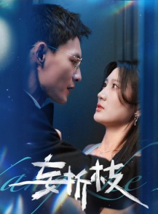 短剧《妄折枝》53集短剧蓝光画质无广告观看