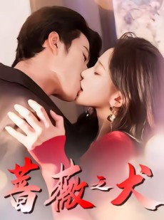 短剧《蔷薇之犬》60集短剧超清画质免费看