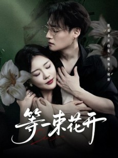 短剧《等一束花开》71集短剧免费畅享高清全集