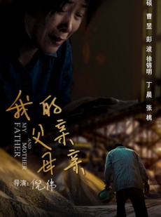 短剧《我的父亲母亲》36集短剧手机在线免费追剧