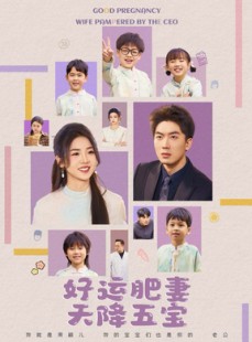 短剧《杏林春深》74集短剧高清流畅在线免费看