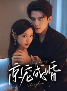 短剧《京宠成婚》79集短剧完整剧情在线观看