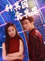 短剧《种其因，食其果》50集短剧全剧免费在线览