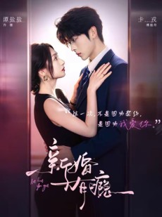 短剧《新婚有瘾》83集短剧1080P在线免费追剧