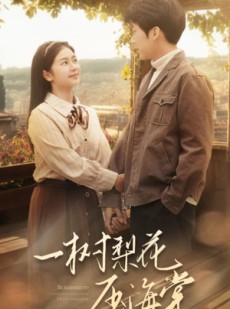 短剧《一树梨花压海棠》82集短剧极速播放无需等待