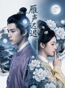 短剧《雁声迟迟》46集短剧全集免费在线追剧