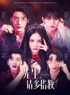 短剧《先生请多指教》67集短剧全集在线流畅免费看