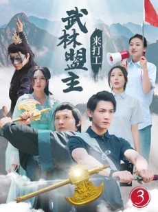 短剧《武林盟主来打工》21集短剧蓝光画质在线观看