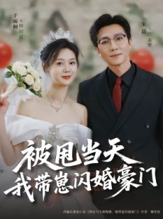 短剧《被甩当天我带崽闪婚豪门》70集短剧免费在线看至大结局