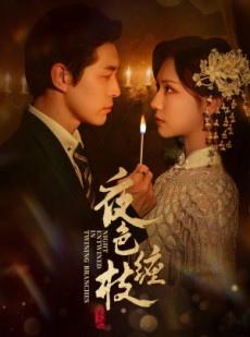 短剧《夜色缠枝》60集短剧高清无删减版免费观看