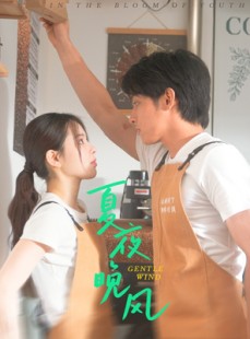 短剧《夏夜晚风》12集短剧在线观看高清不卡顿