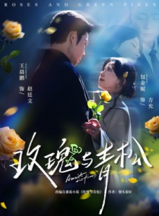 短剧《玫瑰与青松》79集短剧4K超清画质在线畅看