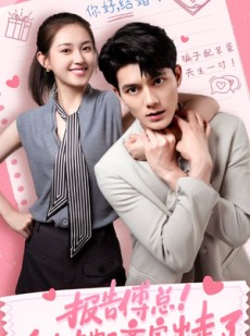 短剧《报告傅总！太太她又离家出走了》68集短剧全集无广告流畅播放