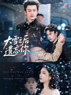 短剧《大雪之后遗忘你》82集短剧在线观看无删减版