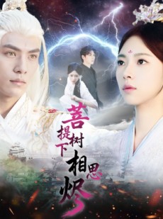 短剧《菩提树下相思烬》63集短剧完整高清免费观赏