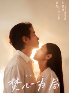 短剧《焚心为局》79集短剧1080P在线速看