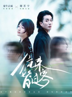 短剧《往来皆过客》50集短剧全集无广告在线观看