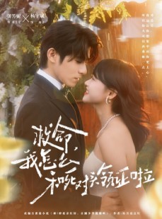 短剧《救命，我怎么和死对头领证啦》82集短剧在线解锁全集观看