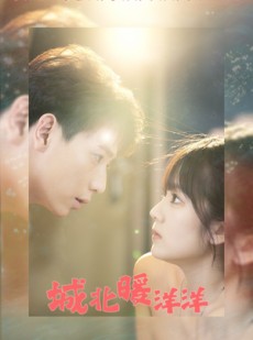 短剧《城北暖洋洋》60集短剧全集无广告在线畅看