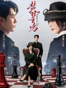 短剧《焚羽重鸣》60集短剧全集资源在线免费获取