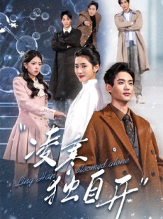 短剧《凌寒独自开》59集短剧高清全集免费流畅观看体验