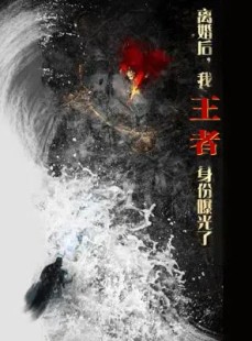 短剧《离婚后，我王者身份曝光了》80集短剧全集剧情不间断观看