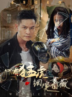 短剧《心有猛虎细嗅蔷薇》65集短剧全集高清流畅不卡顿观看