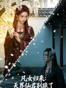 短剧《凡女归来：天界仙君别跪了》53集短剧高清完整版免费观看