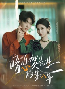 短剧《暗恋贺先生的第八年》87集短剧全集高清在线追剧神器