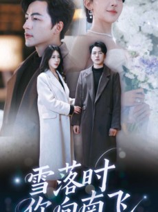 短剧《雪落时你向南飞》34集短剧全集资源一键解锁观看