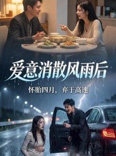 短剧《爱意消散风雨后》52集短剧在线观看直达大结局