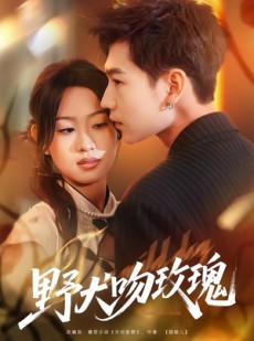 短剧《野犬吻玫瑰》70集短剧全集畅享免费看