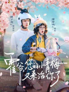 短剧《霍爷，您的小青梅又来治你了》90集短剧免费解锁全集观看