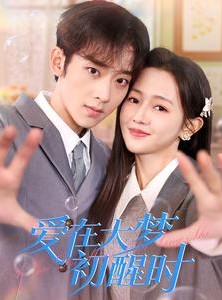 短剧《爱在大梦初醒时》100集短剧高清版全集免费看