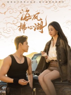 短剧《海风拂心湖》80集短剧全集高清极速在线看