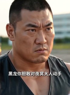 短剧《殿主回归：闪婚女上司》77集短剧1080P在线免费看