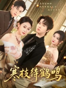 短剧《寒枝待鹤鸣》70集短剧全集在线免费一键观看