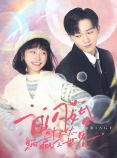 短剧《一日闪婚，叶太太躺赢全世界》68集短剧全集在线观看无需会员