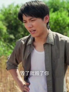 短剧《黄土地的新娘》40集短剧免费在线观看完整剧情