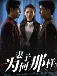 短剧《妻子为何那样》60集短剧全集剧情无删减观看