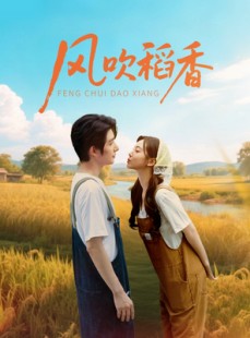 短剧《风吹稻香》80集短剧蓝光画质无广告观看