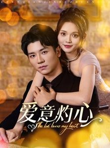 短剧《爱意灼心》95集短剧全集在线观看不卡顿