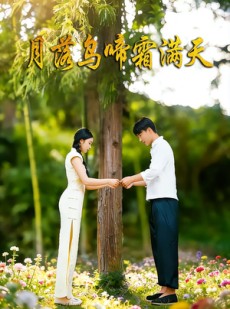 短剧《月落乌啼霜满天》40集短剧无广告高清全集观看