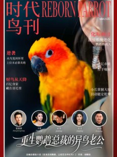 短剧《重生鹦鹉：总裁的异鸟老公》80集短剧高清完整版免费畅享