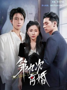 短剧《第九次离婚》62集短剧在线高清看大结局